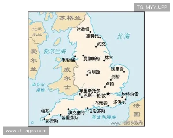 伯明翰城市英超球队介绍与球迷文化发展 伯明翰城市英超球队介绍与球迷文化发展